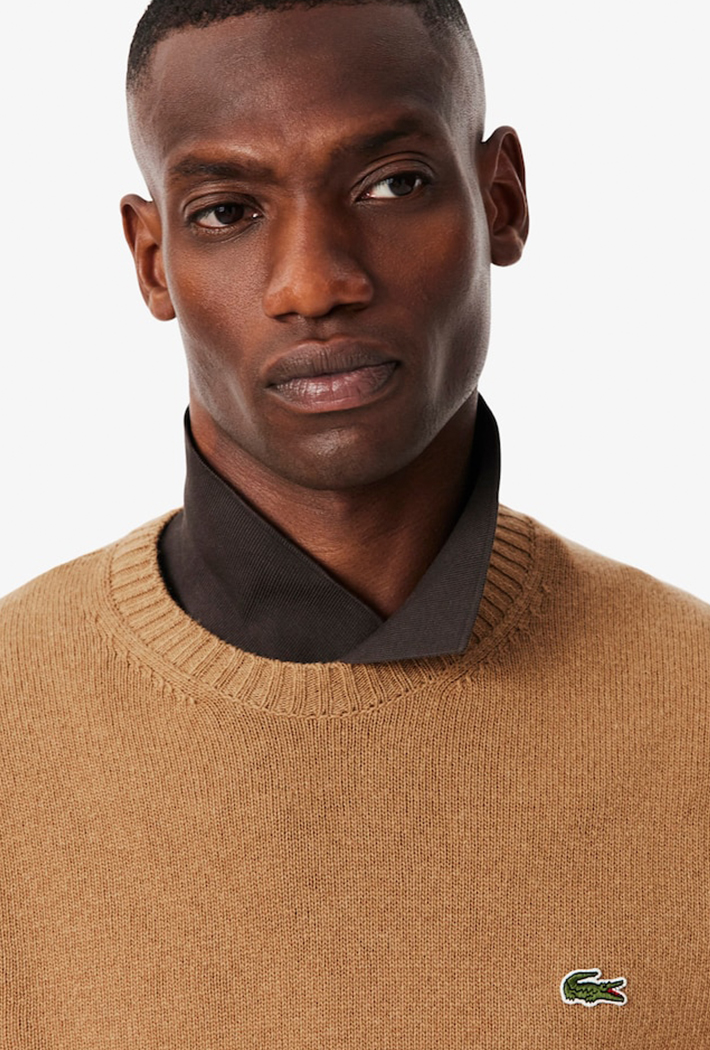 Lacoste Carded Wool Crew Neck Sweater
